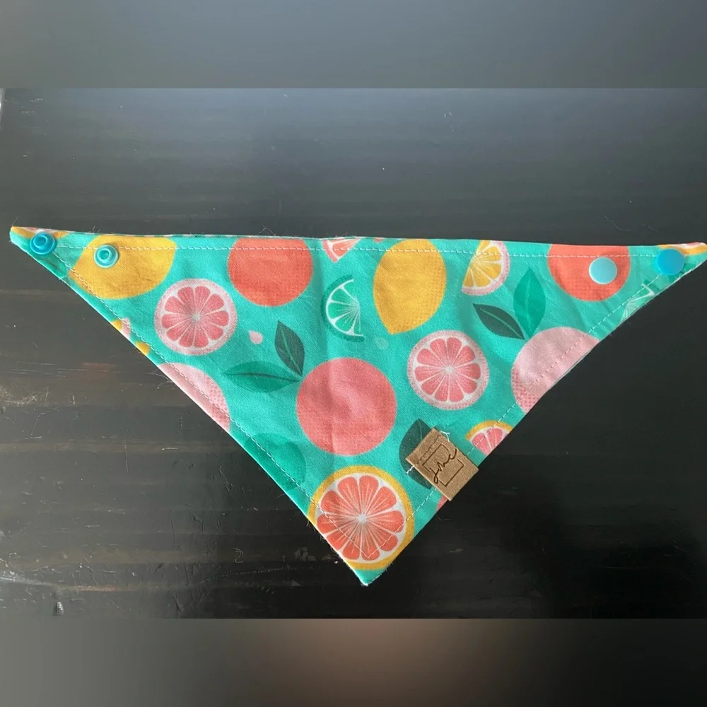 Handmade Pet Bandana